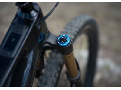 Amflow PL Carbon Pro - 800 Wh, cosmic black - Bild 12