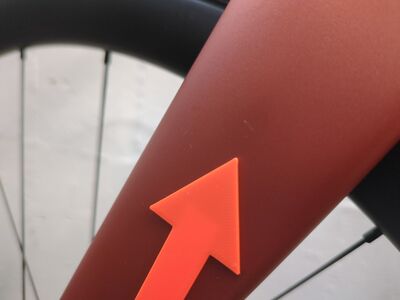 ***2. Wahl*** Specialized Roubaix SL8 Expert copper/smoke - Bild 3