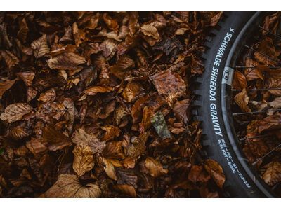 Schwalbe Shredda Front Radial Addix Ultra Soft Gravity Pro - 29 Zoll - Bild 16