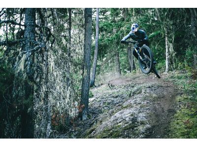 Santa Cruz Vala C / GX AXS / MX, gloss grey - Bild 15