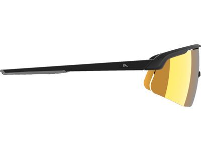 Alpina Turbo Pro Q, Gold Mirror / black matt - Bild 2