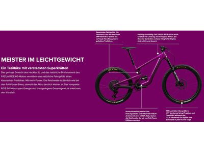 Santa Cruz Heckler SL C / GX AXS / MX, matte silver - Bild 2