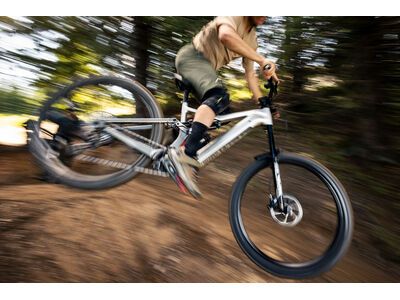 Focus Jam² 6.8 - 800, nepalsilver / steelgrey - Bild 15