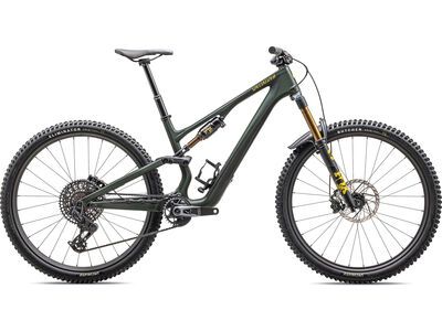 Specialized Stumpjumper 15 Pro - 29/29 satin green tint/gunmetal/satin metallic sulphur