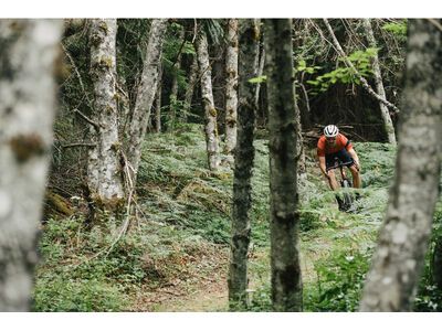 Santa Cruz Stigmata CC / Apex, british racing green - Bild 11