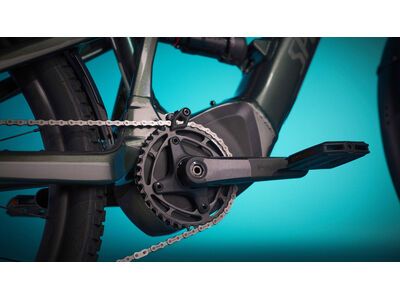 Specialized Turbo Tero X 5.0 - 29/27.5, oak green metallic/oak green - Bild 14