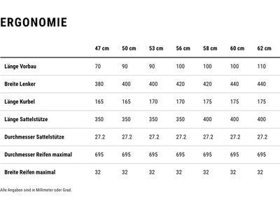 Cube Attain SLX, smaragdgrey´n´prism - Bild 8