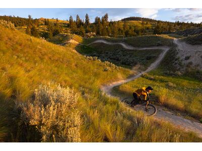 Specialized Purgatory Grid Trail 2Bliss Ready T7 - 29 Zoll - Bild 11