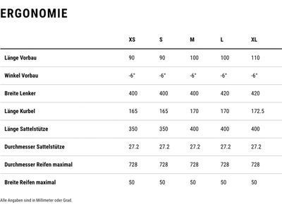 Cube Nuroad C:62 SLT, royalgreen´n´fume - Bild 16