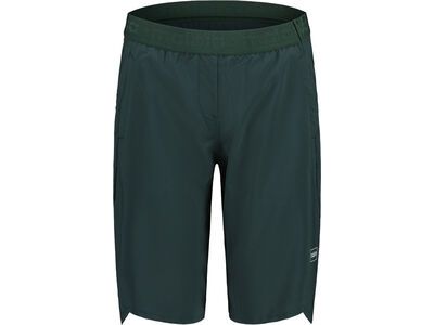 Maloja ValgrandeM., mountain pine - Bild 1