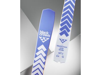 Black Crows Octo Birdie, light blue - Bild 6