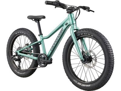 Cannondale Kids Trail Plus 20, cactus green - Bild 2