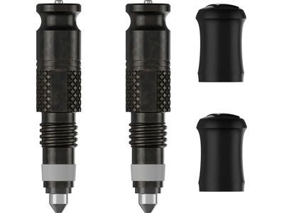 Schwalbe Clik Valve Conversion Kit SV - nur Ventile