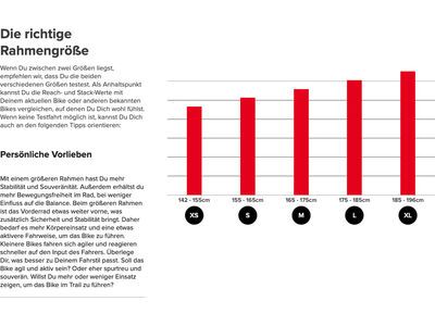 Santa Cruz Bronson C / R / MX, sockeye sal - Bild 2