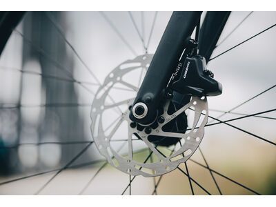 Cube Nulane Pro, grey´n´chrome - Bild 10