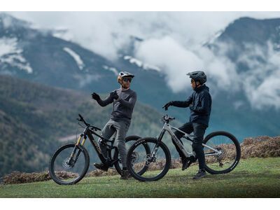 Amflow PL Carbon Pro - 800 Wh, cosmic black - Bild 46