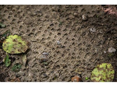 Schwalbe Rick XC Pro Evo Addix Speed TLR - 29 Zoll, transp. sidewall - Bild 9