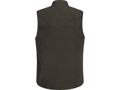 Maloja Brechtenm., alpine woods - Bild 2