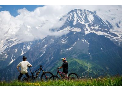 Santa Cruz Bronson CC Frameset, translucent root beer - Bild 13