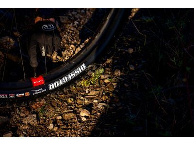 Reserve Fillmore Valve - 70 mm (Paar) - Bild 13