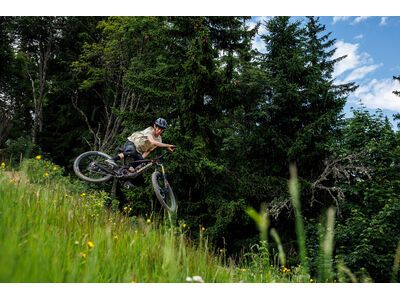 Santa Cruz Bronson C / R / MX, translucent root beer - Bild 14