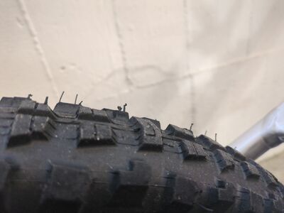 ***2. Wahl*** ***2. Wahl*** Specialized Demo Race teal tint carbon/white - Bild 5