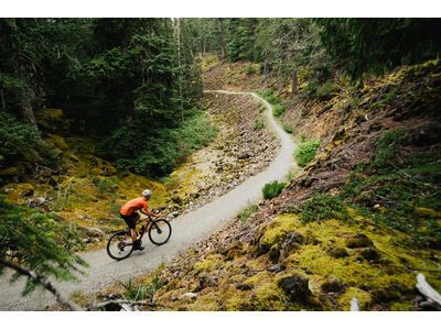 Santa Cruz Stigmata CC / Apex, british racing green - Bild 18