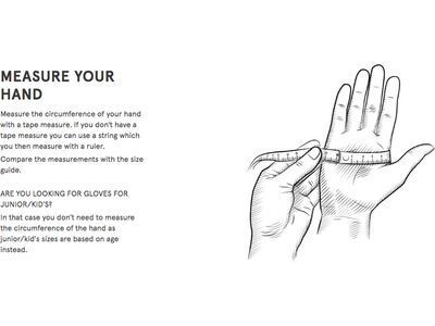 Hestra Windshield Liner 5 Finger, black - Bild 6