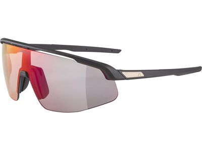 Alpina Turbo Pro QV, Rainbow Mirror / black matt