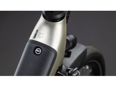 Cube Supreme Hybrid Comfort EXC 600 RT Easy Entry 28, champagne´n´grey - Bild 3