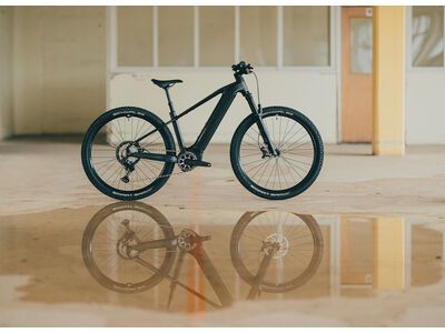 Cube Reaction Hybrid SLX 800 29, silverdust´n´chrome - Bild 8