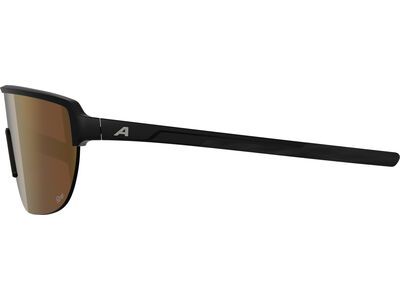 Alpina Ram 2.0 Q-Lite, Gold Mirror / black matt - Bild 2