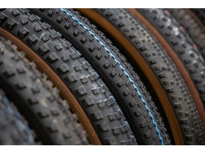 Schwalbe Rick XC Pro Evo Addix SpeedGrip TLR - 29 Zoll - Bild 3