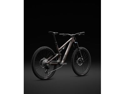 Specialized Stumpjumper 15 Expert - 29/29, gunmetal/white mountains - Bild 17