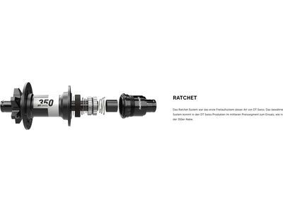 DT Swiss Rotor Kit Ratchet Road / SRAM XDR - Bild 2