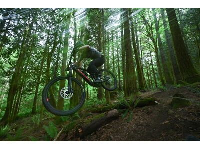 Santa Cruz Vala AL / 70 / MX, gloss stormbringer purple - Bild 13