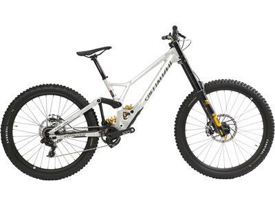 Specialized Demo Race, flake silver/gunmetal/brushed
