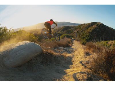 Santa Cruz Heckler SL C / Stout / MX, matte dark blue - Bild 8