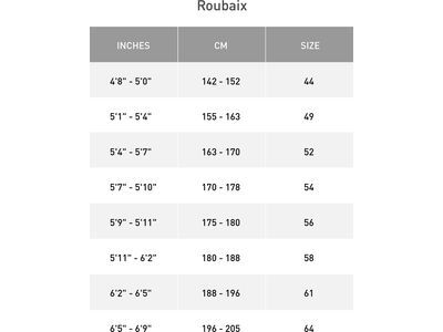 Specialized Roubaix SL8 Sport – Shimano 105, metallic obsidian/birch - Bild 4