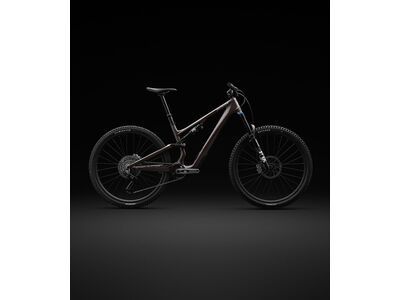 Specialized Stumpjumper 15 Expert - 29/29, gunmetal/white mountains - Bild 16