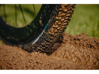 Schwalbe G-One RX Pro Addix Race / Race Pro V-Guard - 700C, transp. sidewall - Bild 34