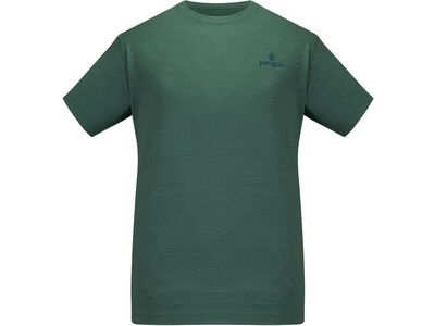 Penguin Männer Merino Stretch T-Shirt, fender green