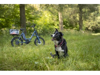 i:SY N3.8 ZR CX Auto Comfort, pepper black - Bild 6