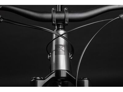 Santa Cruz Vala AL / 70 / MX, gloss lunar grey - Bild 7