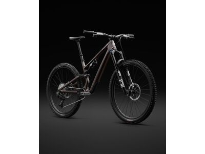 Specialized Stumpjumper 15 Expert - 29/29, gunmetal/white mountains - Bild 14