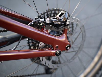 Specialized Turbo Levo Pro Carbon, gloss rusted red/satin redwood - Bild 25