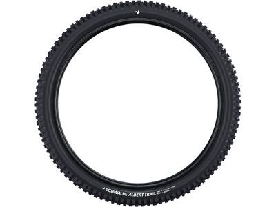Schwalbe Albert Radial Addix Ultra Soft Trail Pro - 29 Zoll - Bild 3