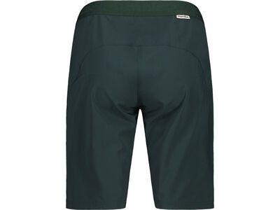 Maloja AnemonaM., mountain pine - Bild 2