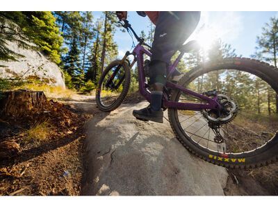 Santa Cruz Heckler SL C / GX AXS / MX, matte silver - Bild 18