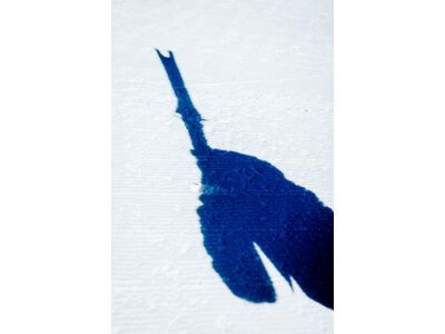 Line Sakana - Bild 19